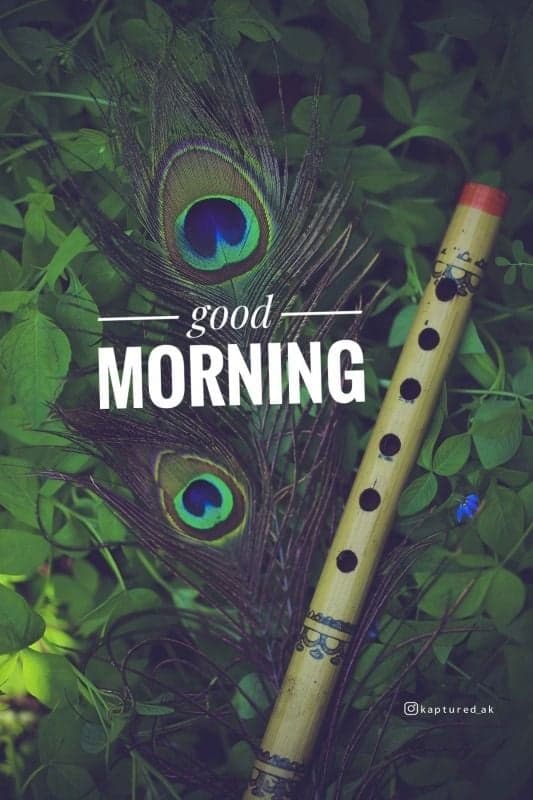 "Awaken to Serenity: A Morning Blessing Through Nature's Lens"